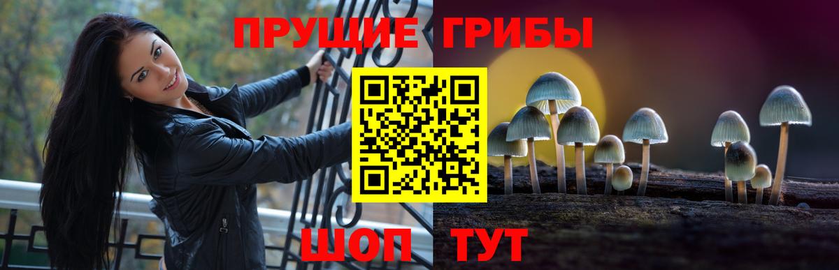 Галлюциногенные грибы мухоморы  Вход с VPN  Людиново  Псилоцибиновые грибы мухоморы 